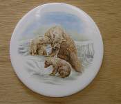 Polar Bears