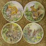Forest Animals