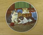 Kittens with yarn