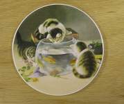Kittens & fish Bowl.