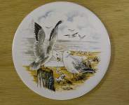 Seagulls