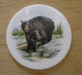 Black Bears