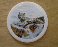 Siberian Tiger