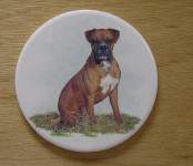 Dog - Boxer