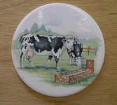 Farm Animals - Cows