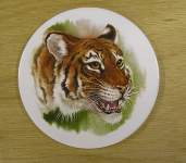 Tiger Head