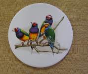 Diamond Finches