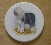 Dog - Sheepdog