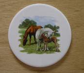 Horses grazing
