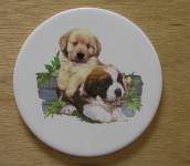 Dogs - Puppies
