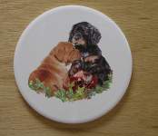 Dogs - Puppies