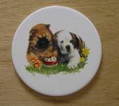 Dogs - Puppies