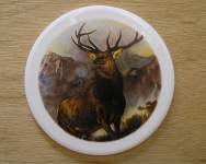 Elk