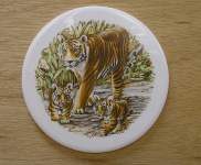 Tigers