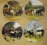 Horses