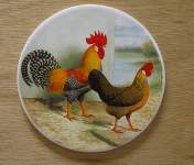 Leghorn Hen & Rooster