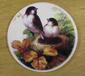 Sando Bird Nest