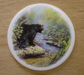 Black Bear
