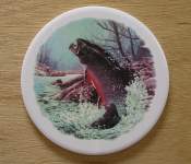 Trout