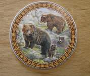 Wild Life Bear Scene