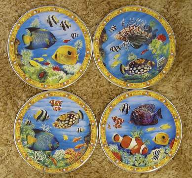 Tropical Fish
