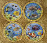 Tropical Fish