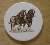Shire Horses