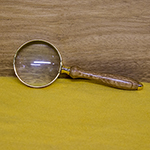 NEWTS Magnifying Glass