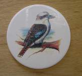 Kookaburra