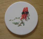 Sturt's Desert Pea