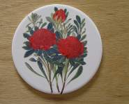 Waratah