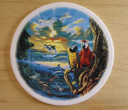 Tropical Scene
