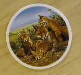 Fox Family