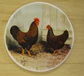 Rooster Barnevelder