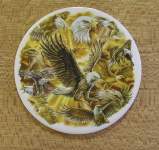 Eagle Dance