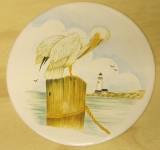 Sea Bird-1