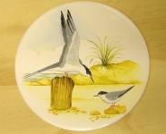Sea Bird-3