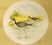 Sea Bird-4