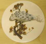 Exotic Bird-1