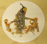 Exotic Bird-2