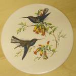 Birds-1