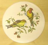 Birds-3