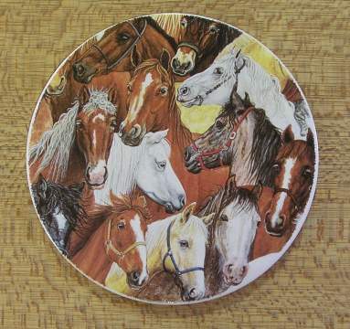 Horse Collage