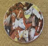 Horse Collage