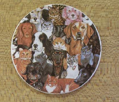 Dog and Cat collage