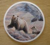 Bear