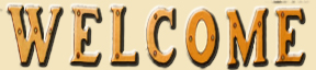 Welcome to New England Woodturning Supplies
